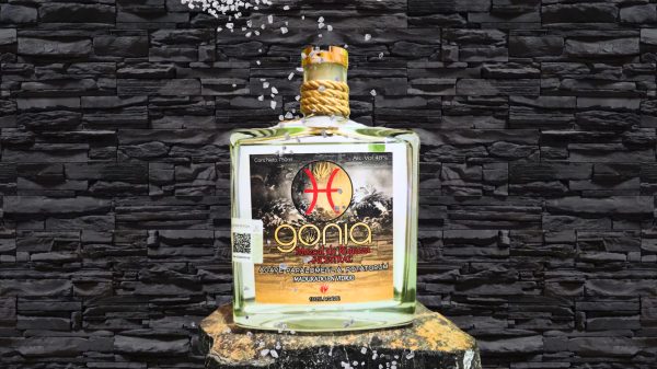 Botella de Mezcal Papalometl
